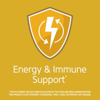 Energy & immune support icon for 21st Century Stress B with Zinc