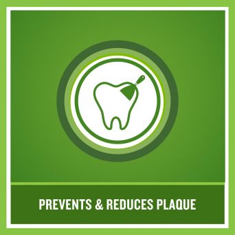 Listerine Mouthwash, Green Tea, 250ml