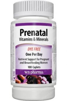 Prenatal Vitamin & Mineral Supplement Caplets 100's