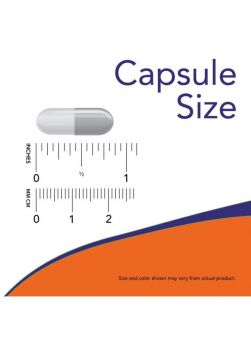 NOW Ginseng & Royal Jelly Capsule size chart showing 1 veg capsule compared with ruler measurements